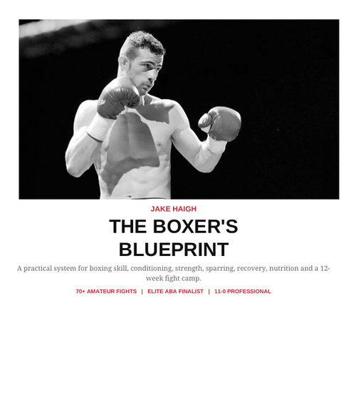 The Boxer's Blueprint — 12-Week Boxing Training Plan